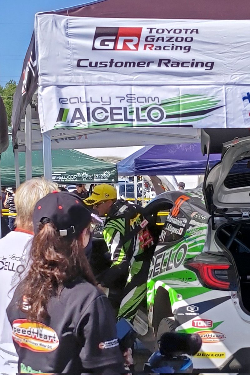 北のキタキツネ tweet media