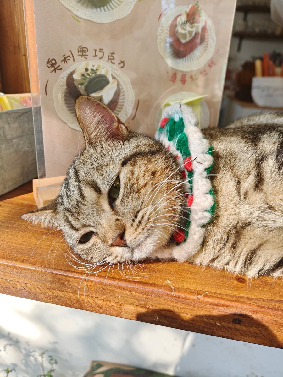 Thomas Beike tweet media