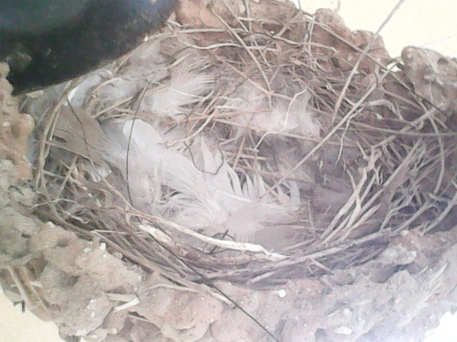 😎 Iván. tweet media