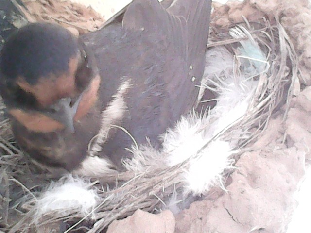 😎 Iván. tweet media