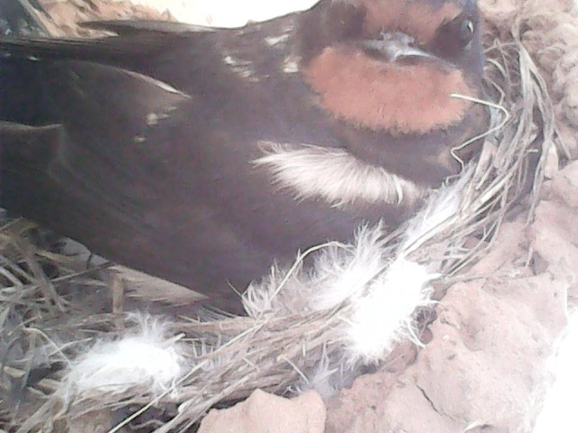 😎 Iván. tweet media