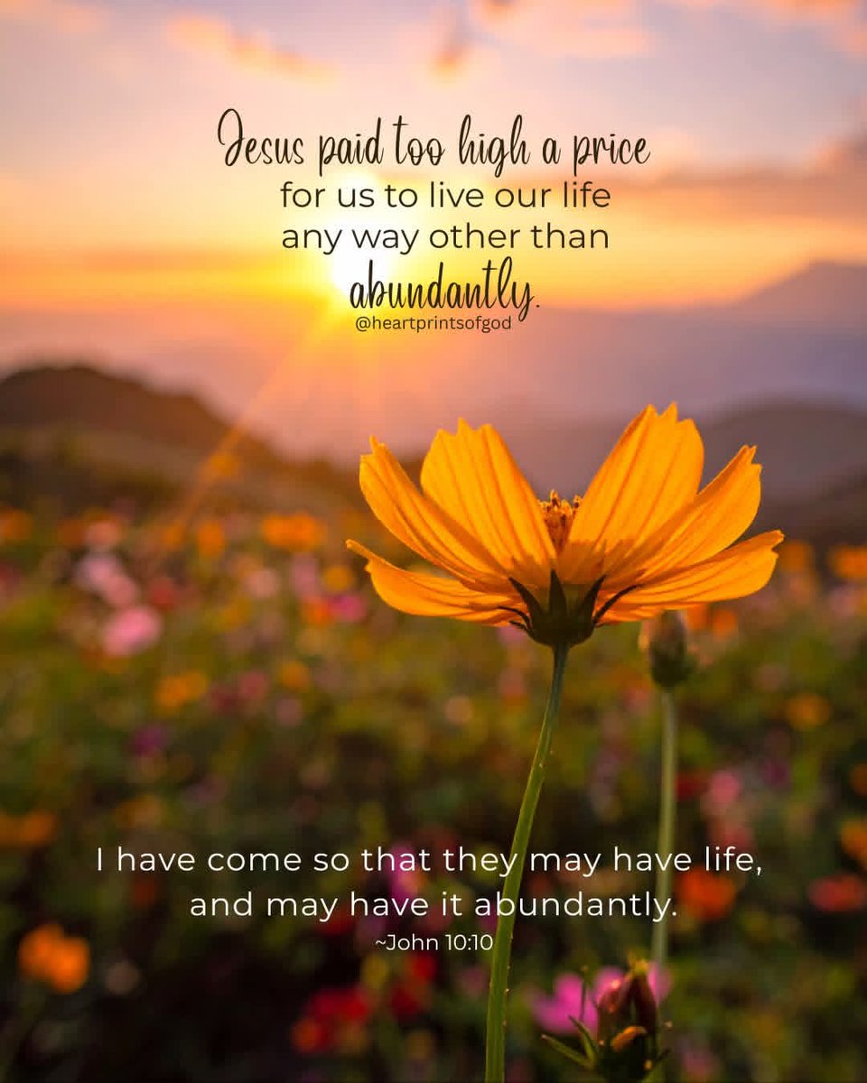 cz_alwayssunny tweet media