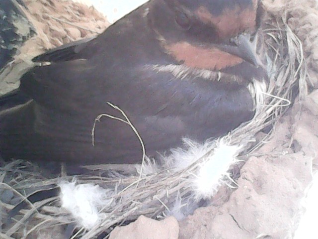 😎 Iván. tweet media