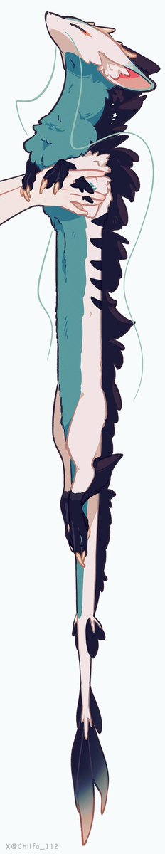 チルファ tweet media