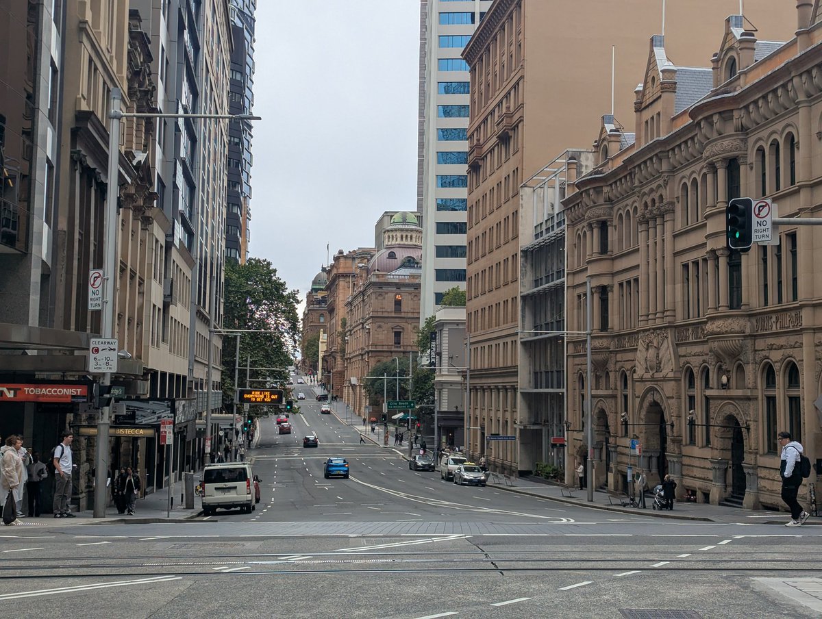 cauli (post caulicamp rest) tweet media