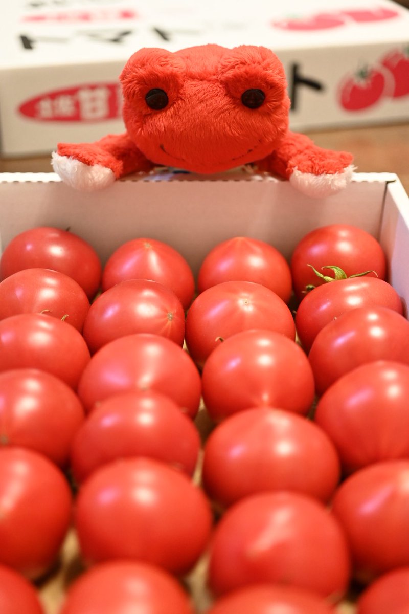 りらぴく tweet media