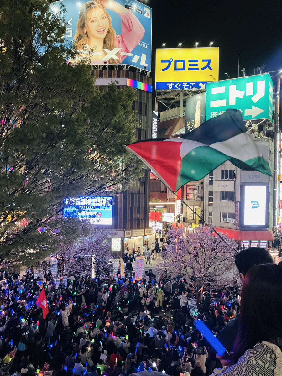 mochizuki。 tweet media