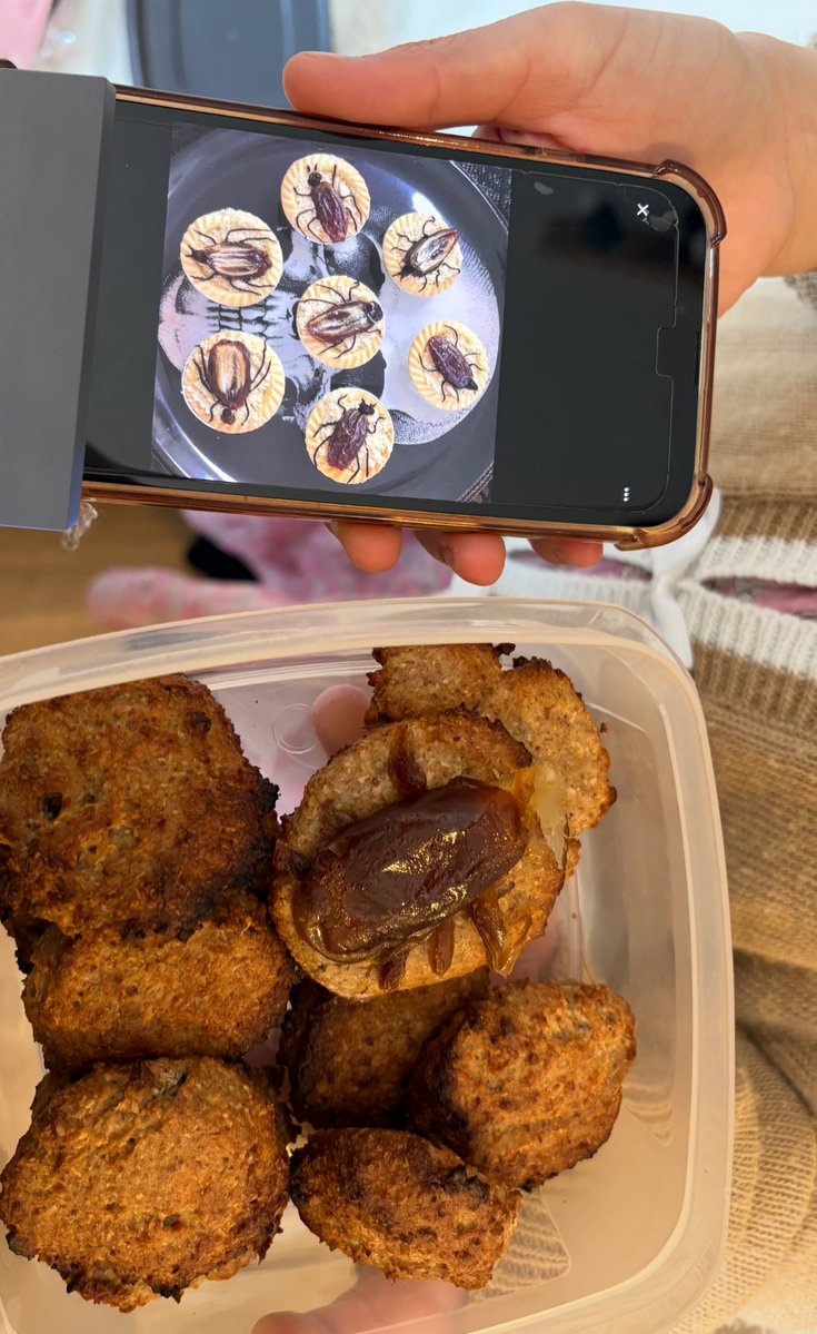 indirait cafard 🪳 tweet media