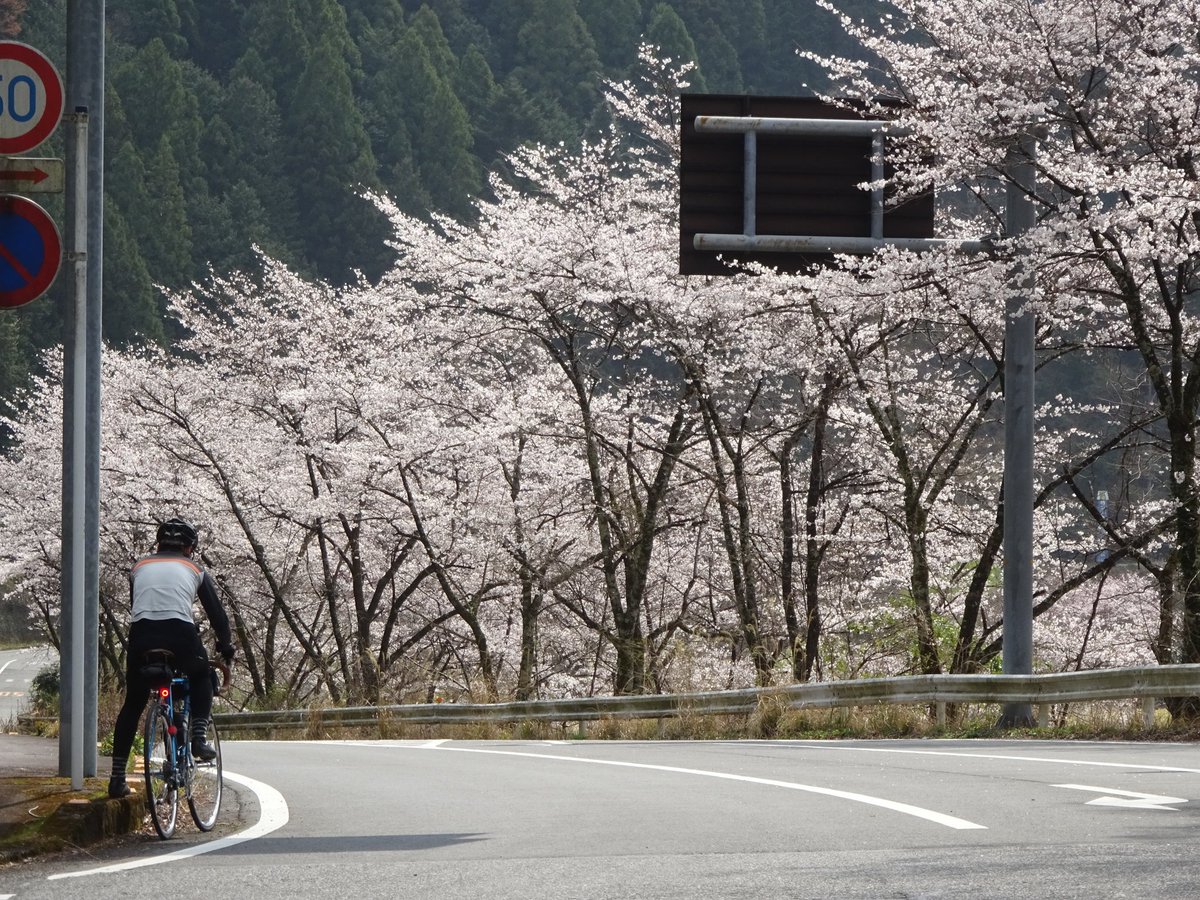 もづる tweet media