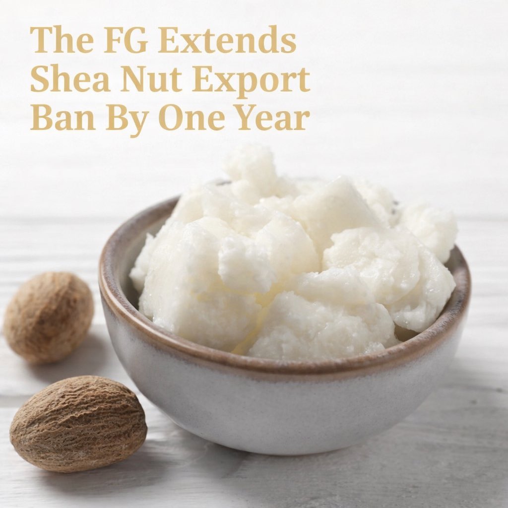 exportnigeria's tweet photo. The Federal Government extends the ban on raw shea nut exports for another year. 
• Value Addition: Boosting local processing plants.
• Jobs: Supporting employment for rural women.
• Economy: Higher forex earnings from finished goods.
Local industrialization is the priority. https://t.co/4iUBh86MGz