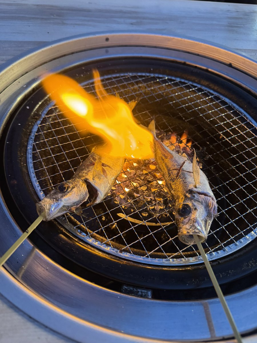 こいきんぐみいちゃん🐟 tweet media