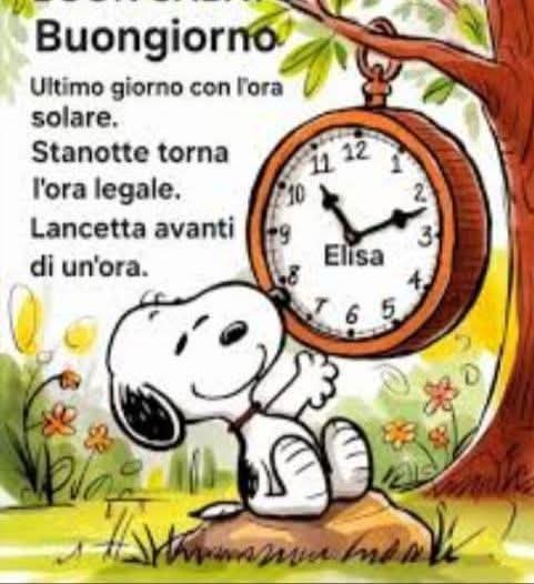 Alexa 5313 ® 🇺🇦❤️🇮🇱 tweet media