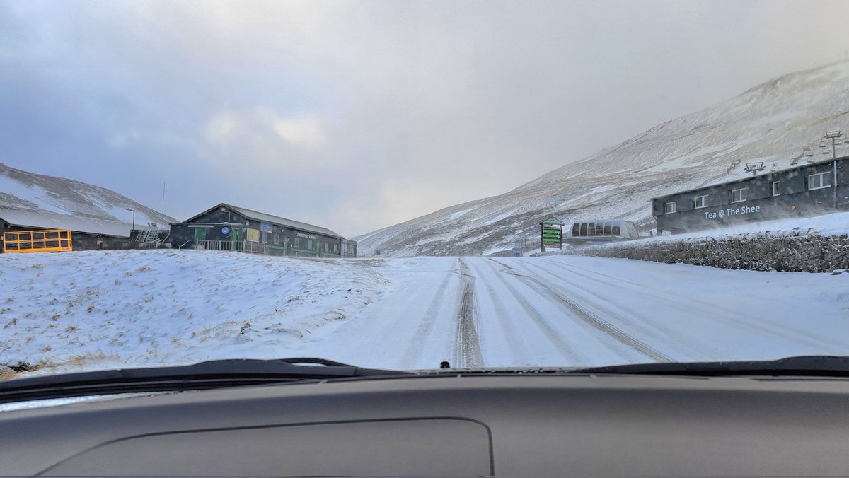 Hazel Alway & Aussie & Beinn over the rainbow🌈br. tweet media