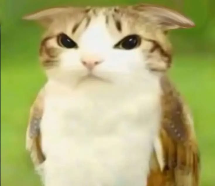 lonely blud :( ๐๐ฉ๏ธ๐ฆ๐ช๐ซ๐ท๐บ๐ฆ tweet media