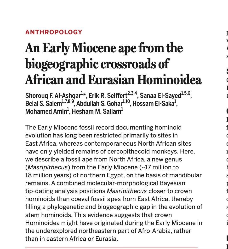 د. عبدالمجيد الرفاعيAbdulmajeed Alrefaei tweet media