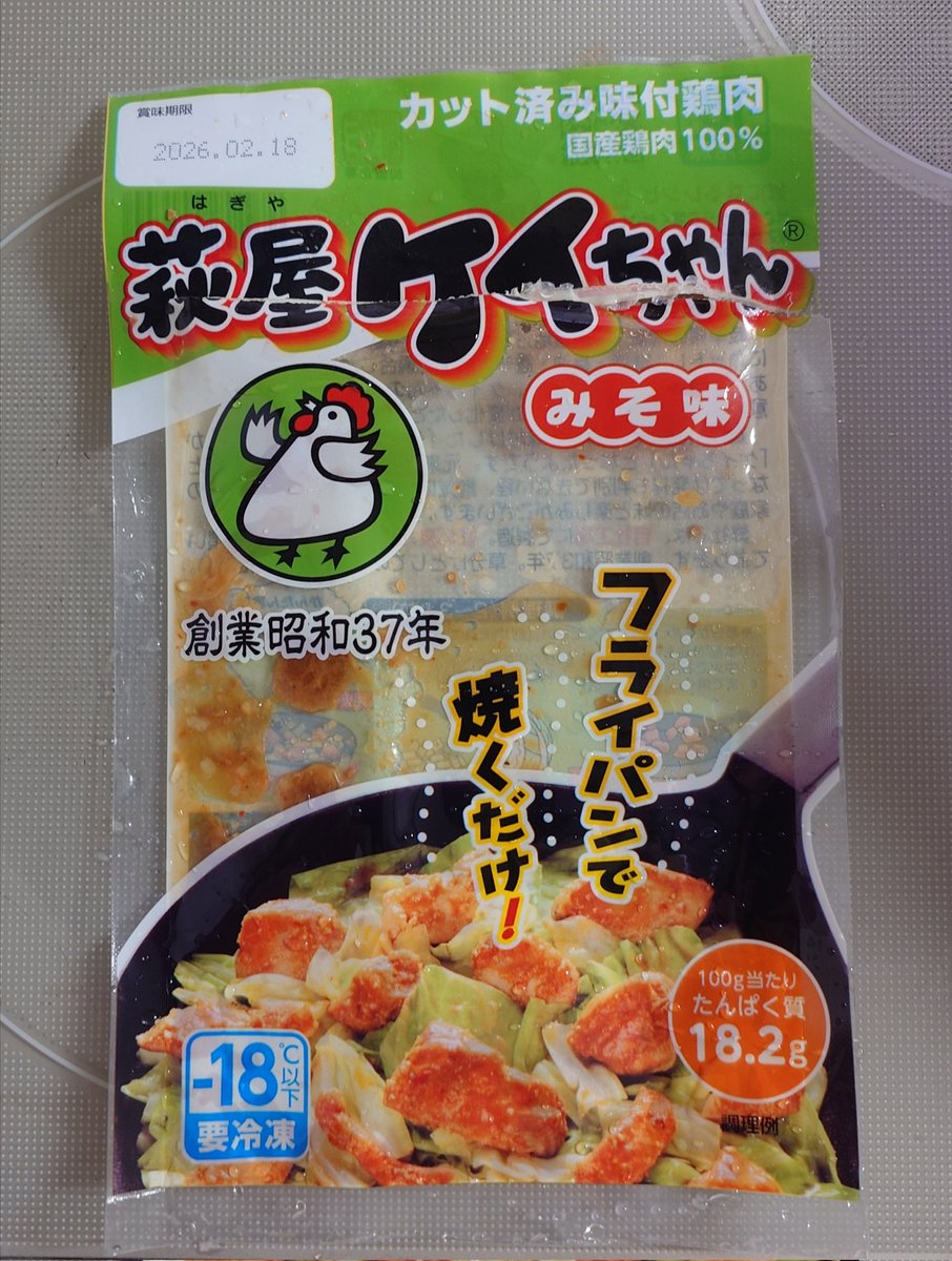 白クマ🌸👼（迷い込んだ白クマ） tweet media