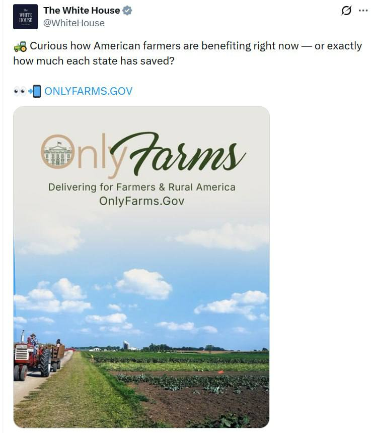 Lord Bebo tweet media