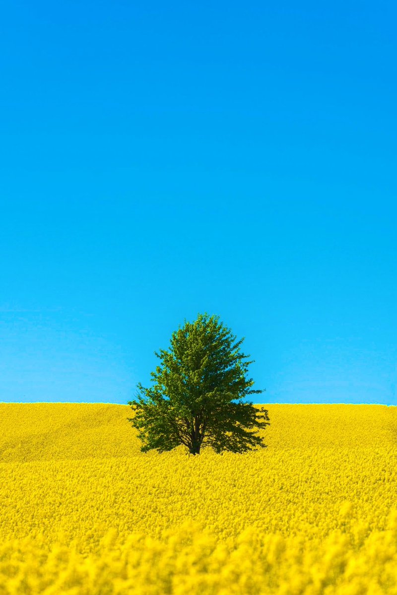 EXPLORING EARTH 🌍 tweet media