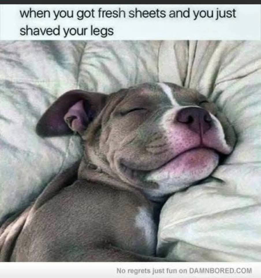 Pagan Sky tweet media