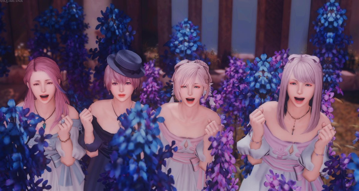 チヅキ❖ tweet media