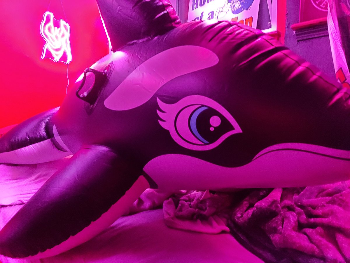 Flutterloonershy6 tweet media