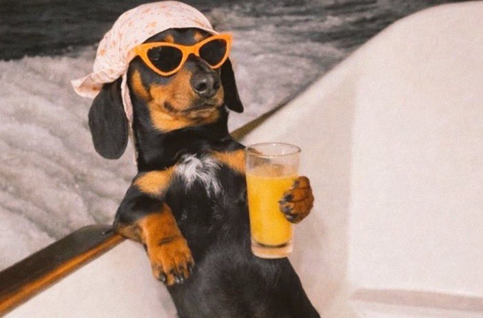 @chefdavidofficial5 ❤️ tweet media