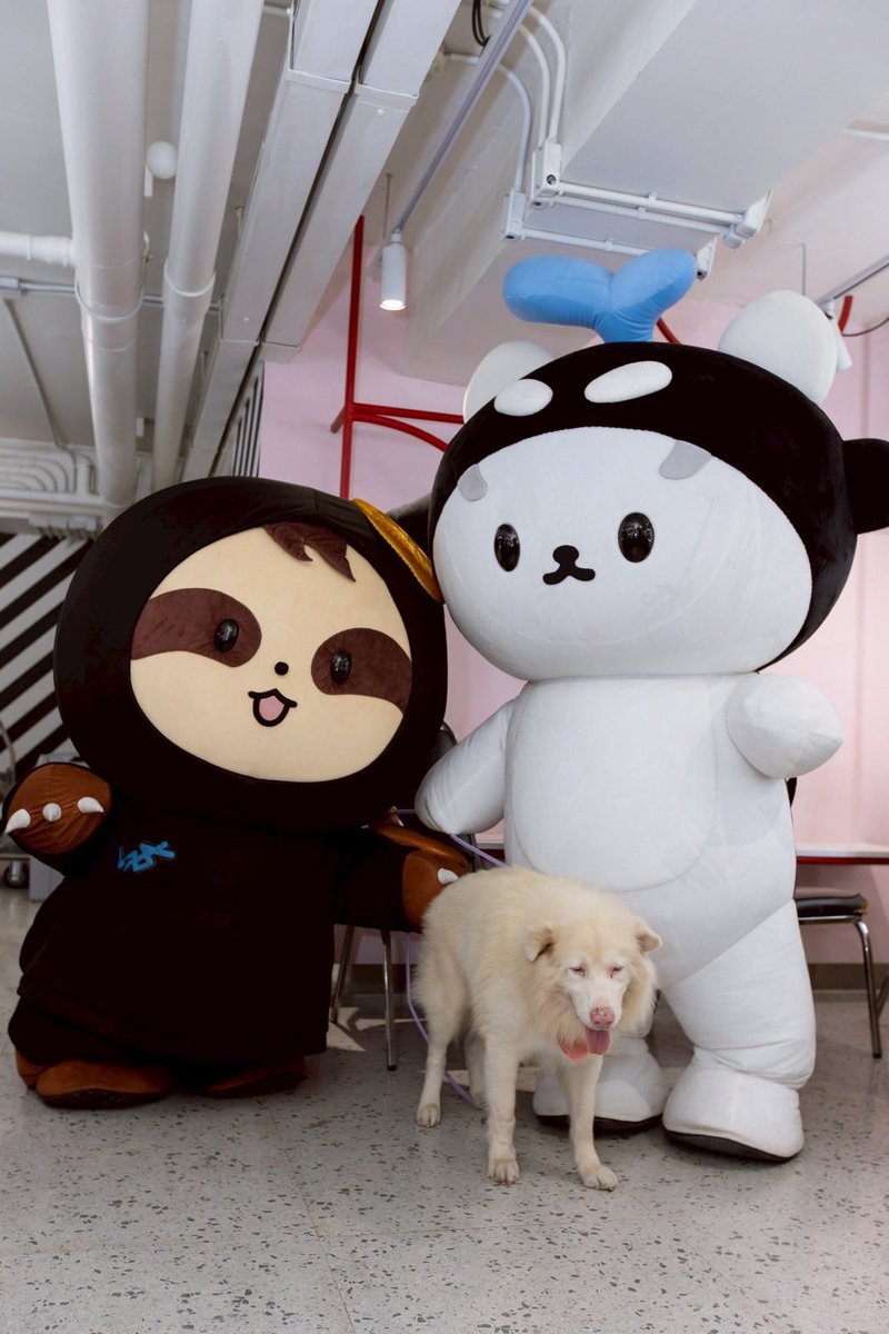 kimlee🥤 tweet media