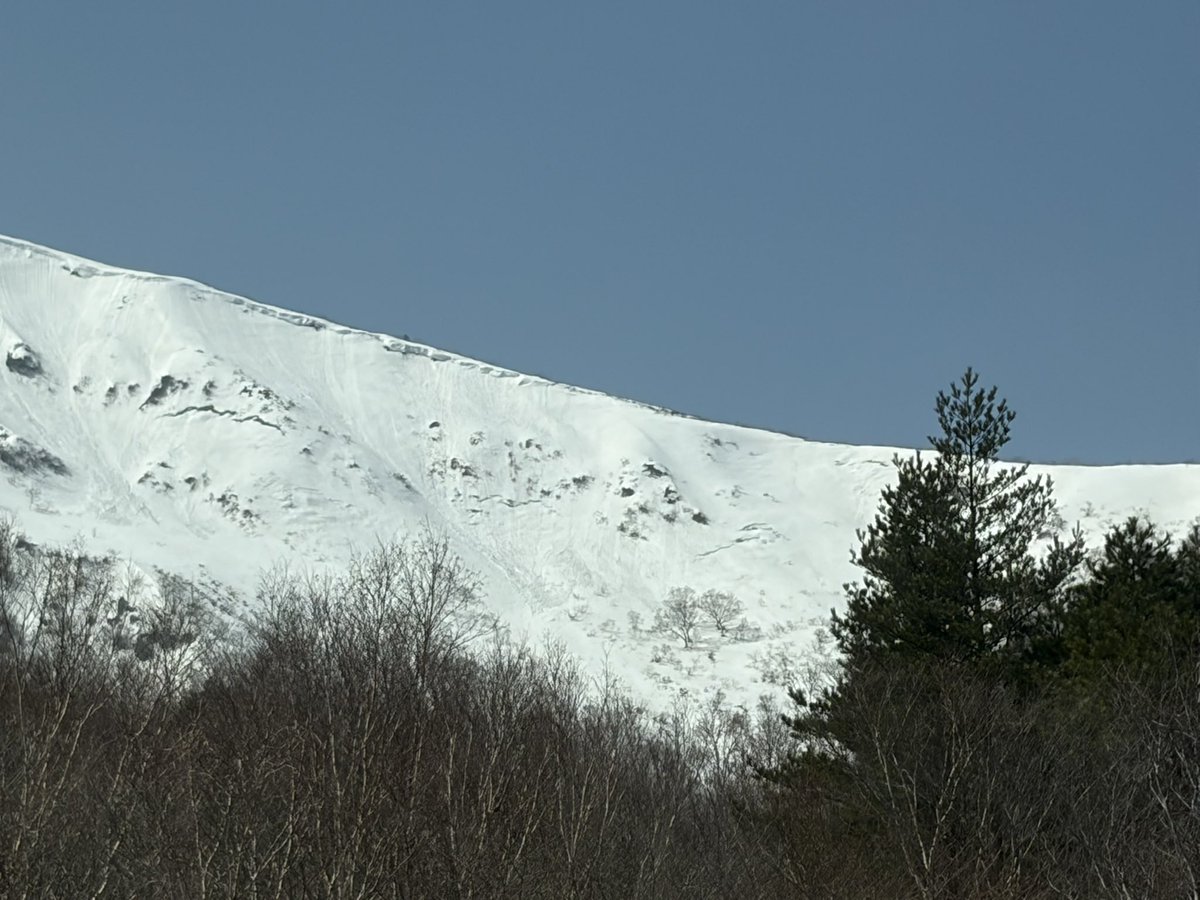 kumagoro tweet media