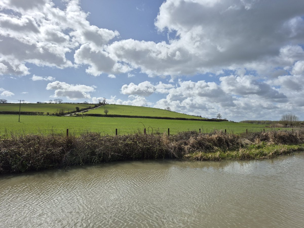 Float My Boat tweet media