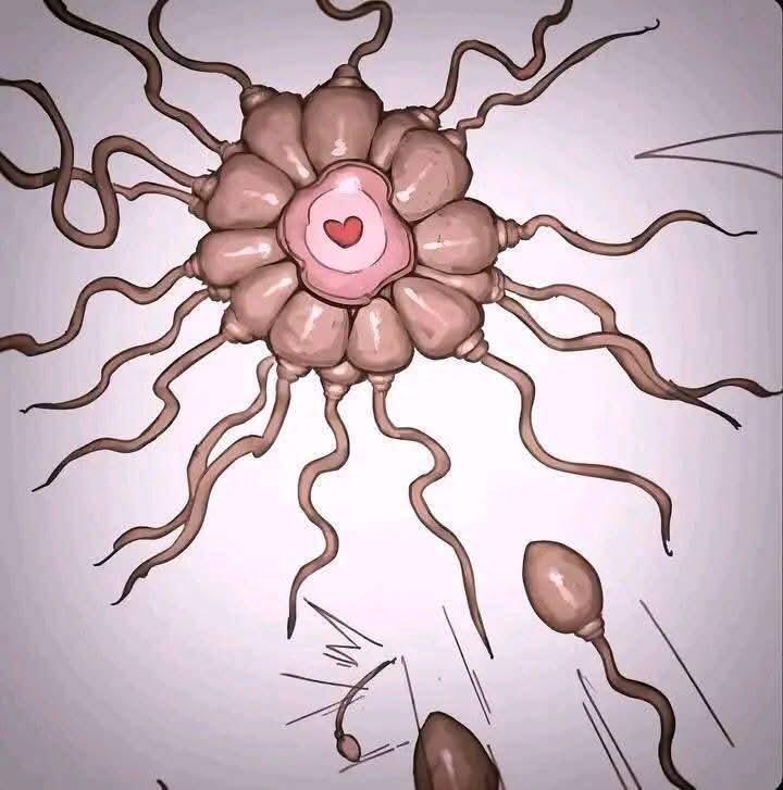 Ash Ketchum tweet media