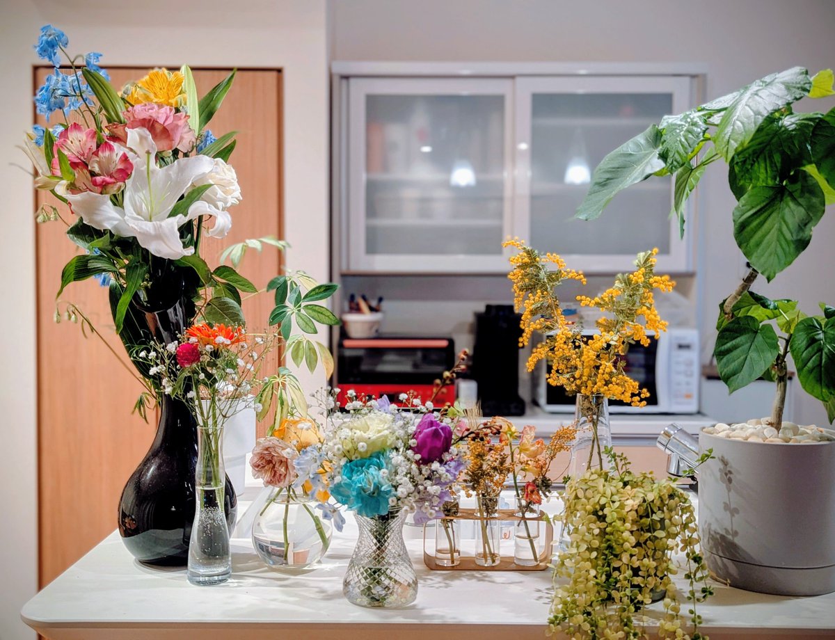 Ryo☘️コンサーティーナ弾き tweet media