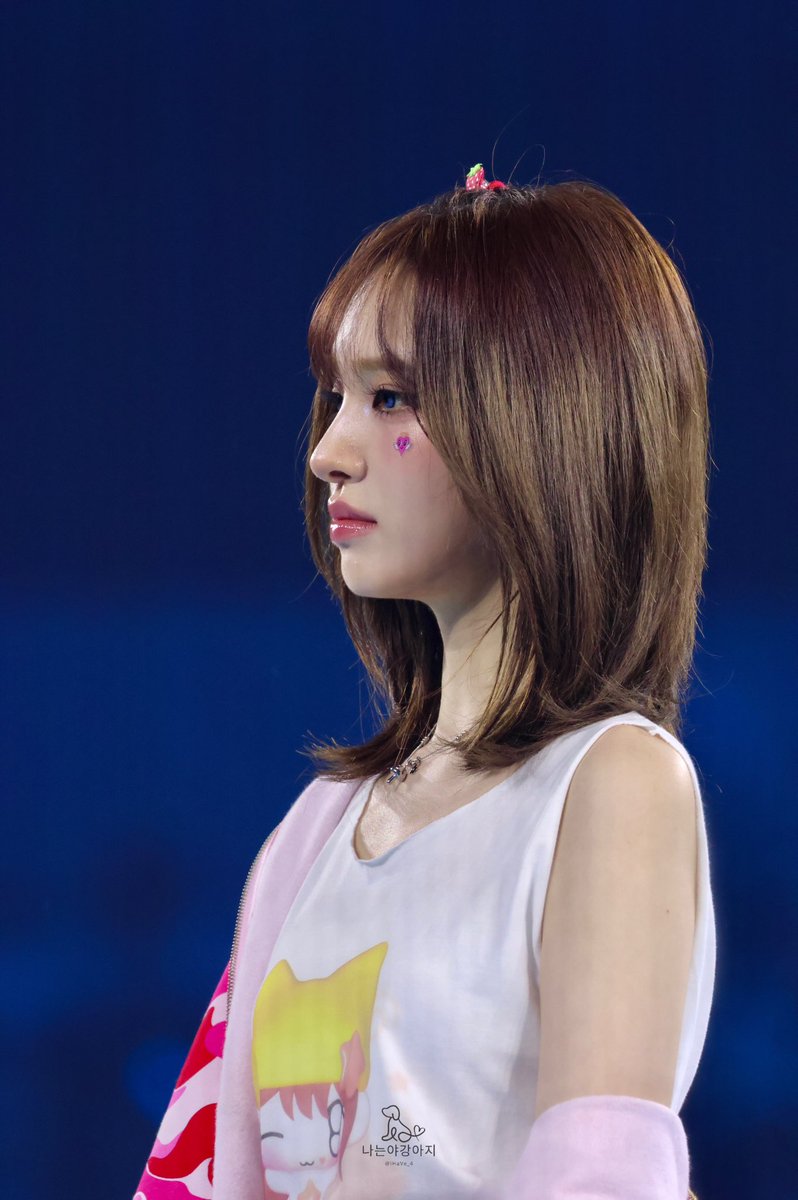 나는야강아지 tweet media