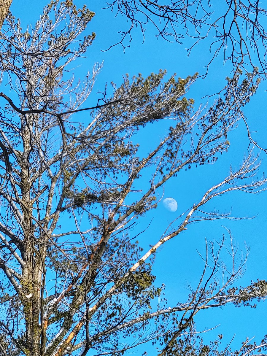 Darrell, not Daryl tweet media