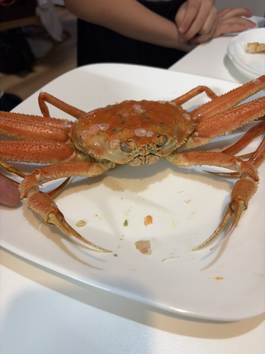 ざおー。 tweet media