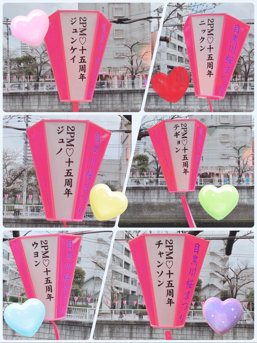 SAKKU💛이즈미 tweet media