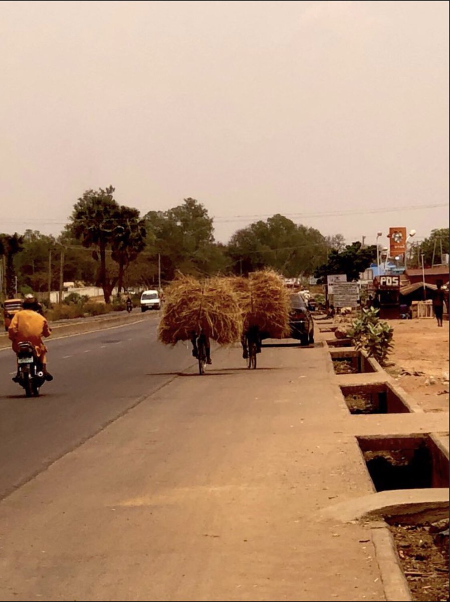 Jámuthepolymath tweet media