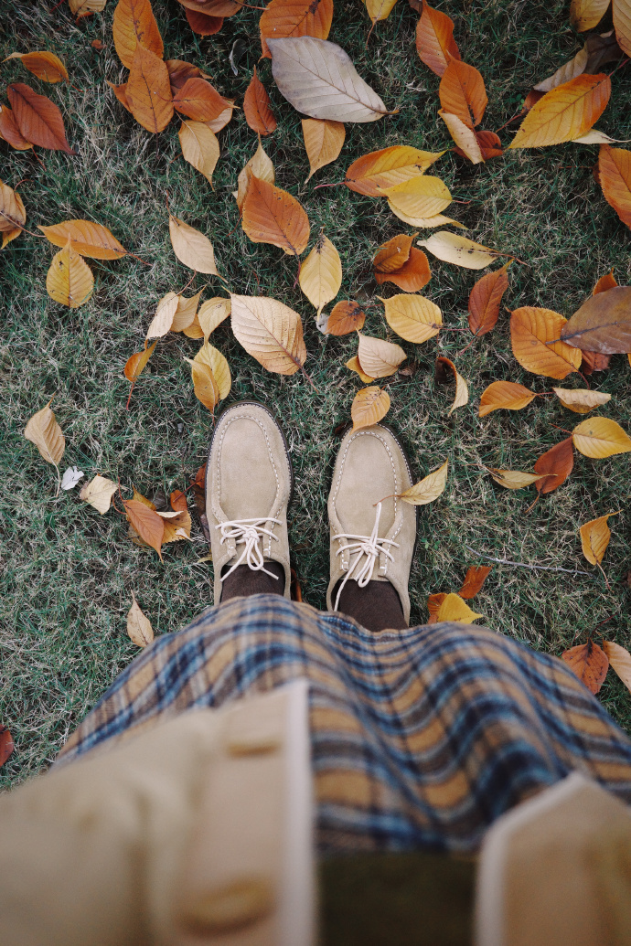 Chad Novack tweet media