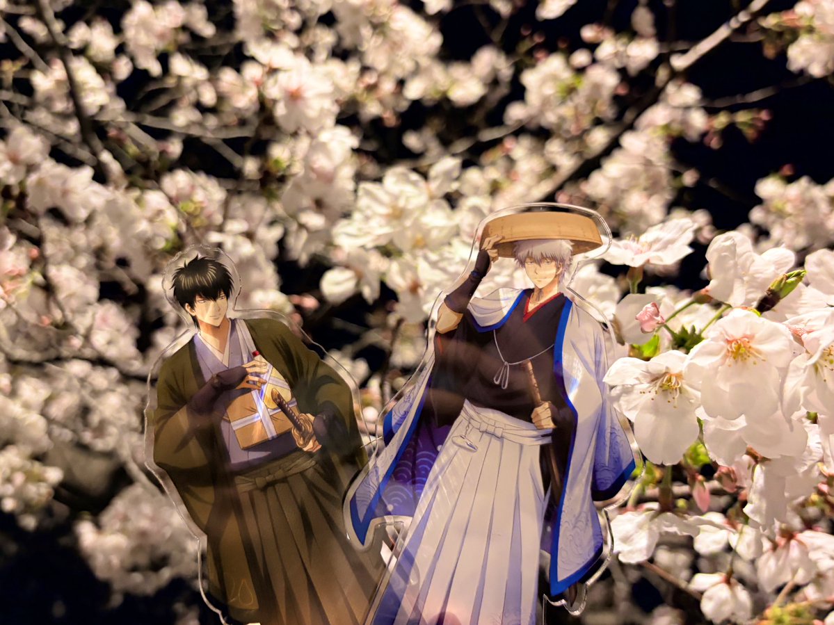 っっっj tweet media