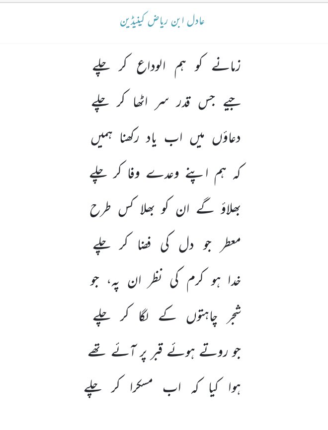 CANADIAN tweet media