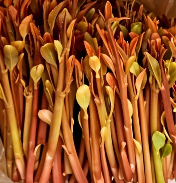 (//مِـوجودُ //) Yemen tweet media