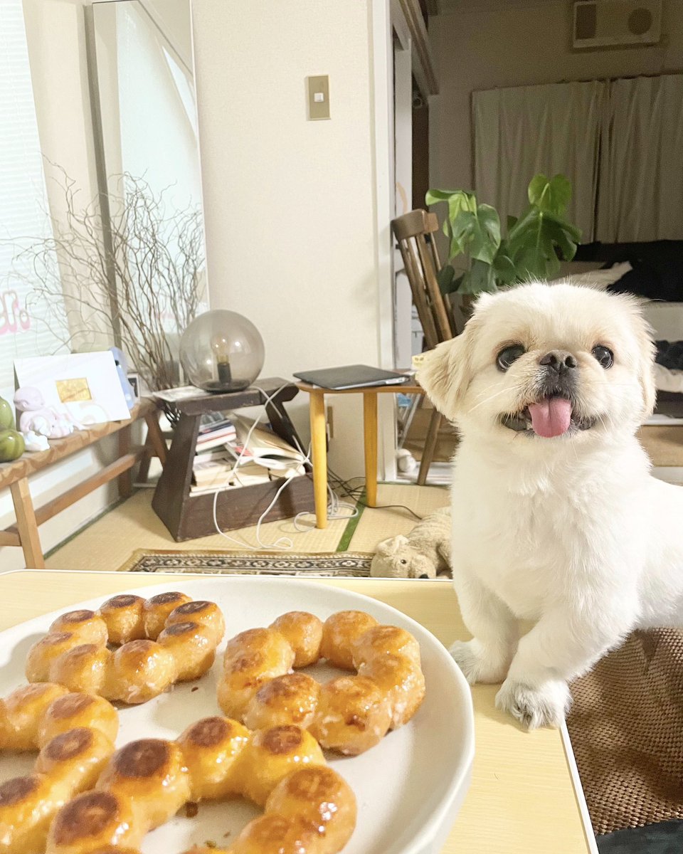 𝐿𝑂𝑉𝐸𝑌𝑂𝑈 tweet media