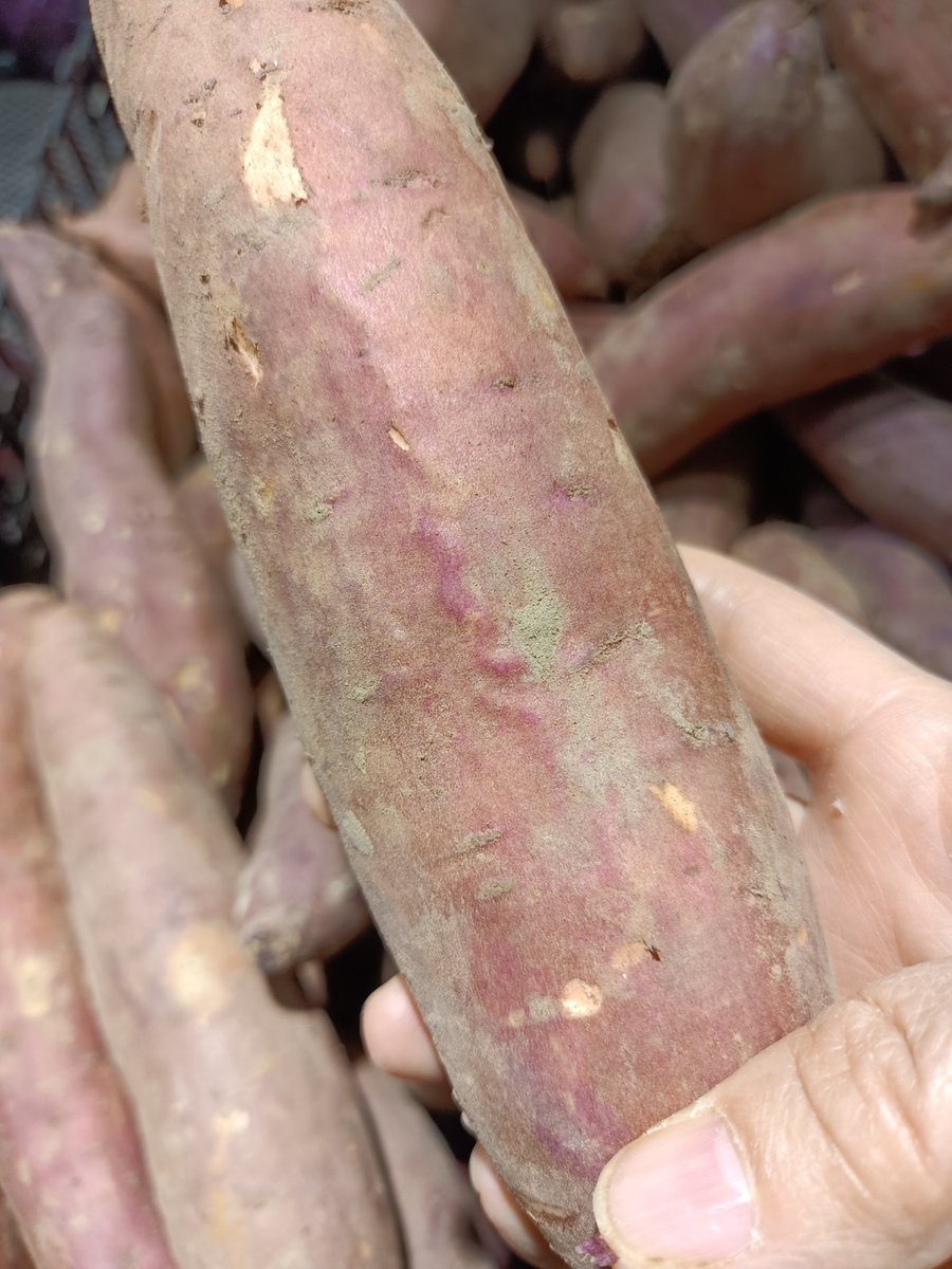 Help information tweet media