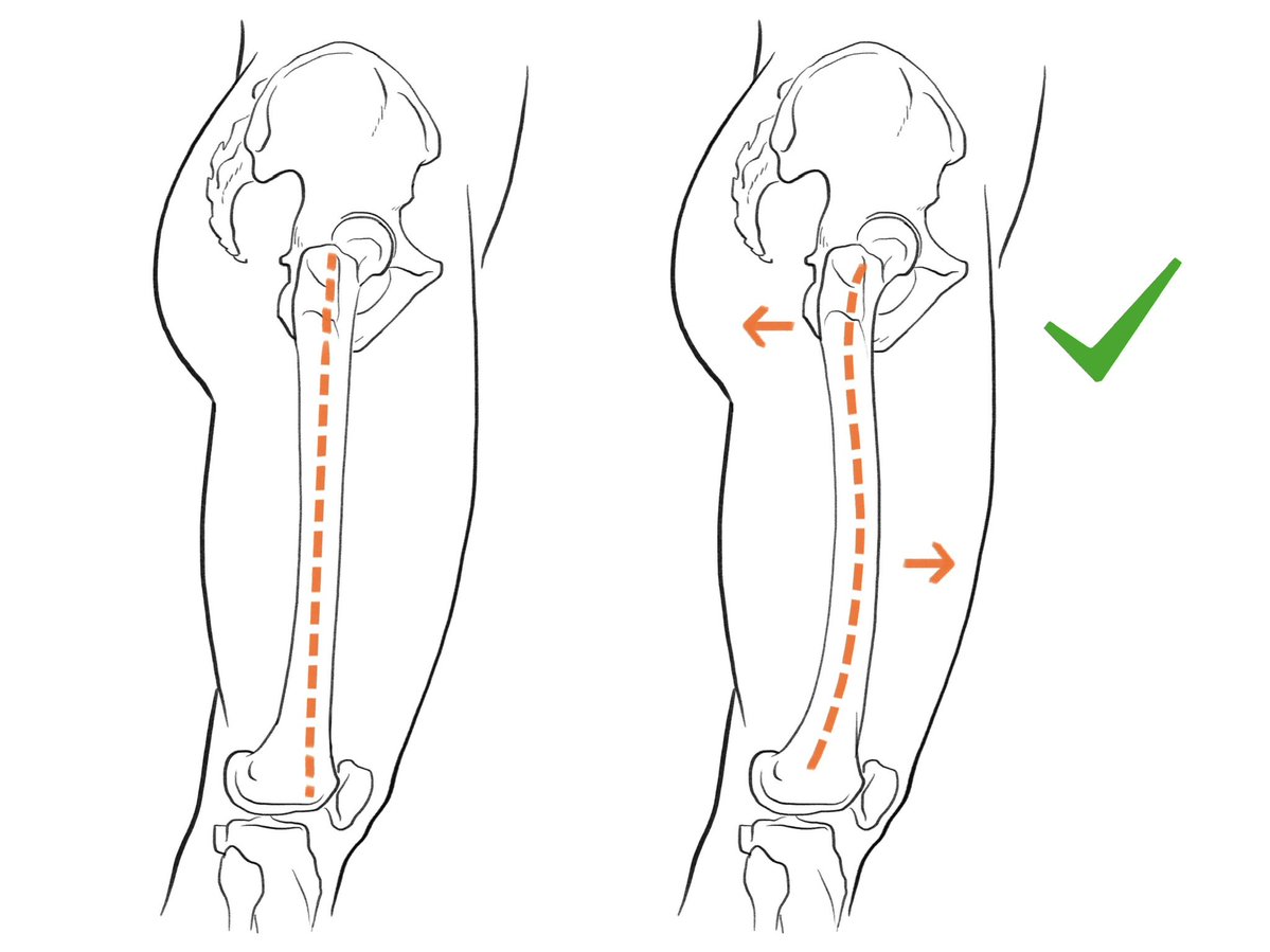 伊豆の美術解剖学者 tweet media