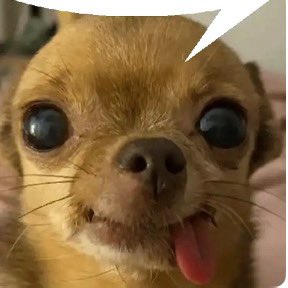 Ama-vera(Ugochukwu Chiamaka) tweet media