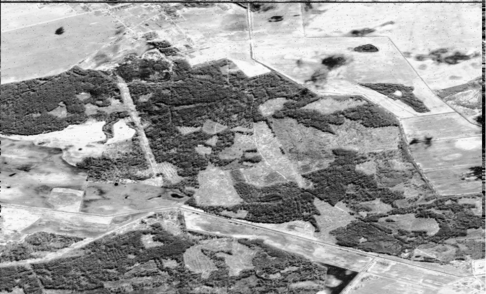 lego11 📡 tweet media