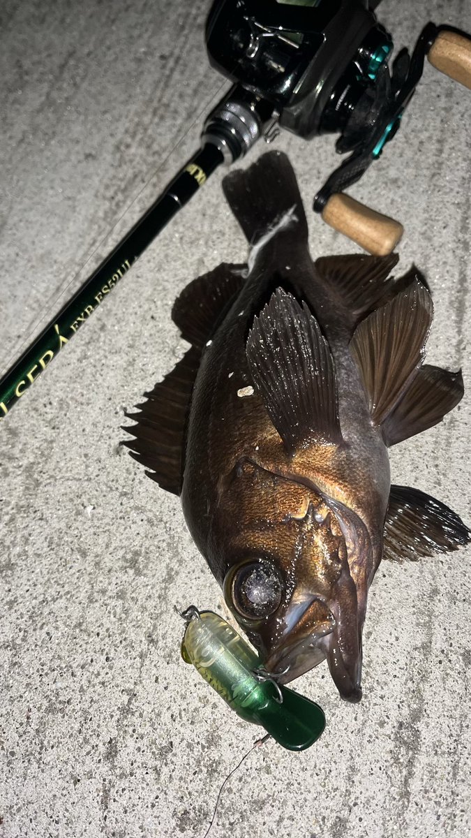 たけやん tweet media