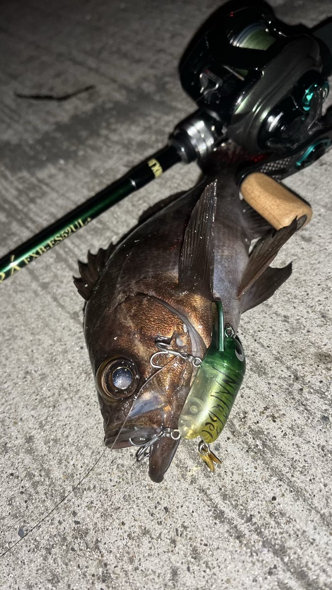 たけやん tweet media