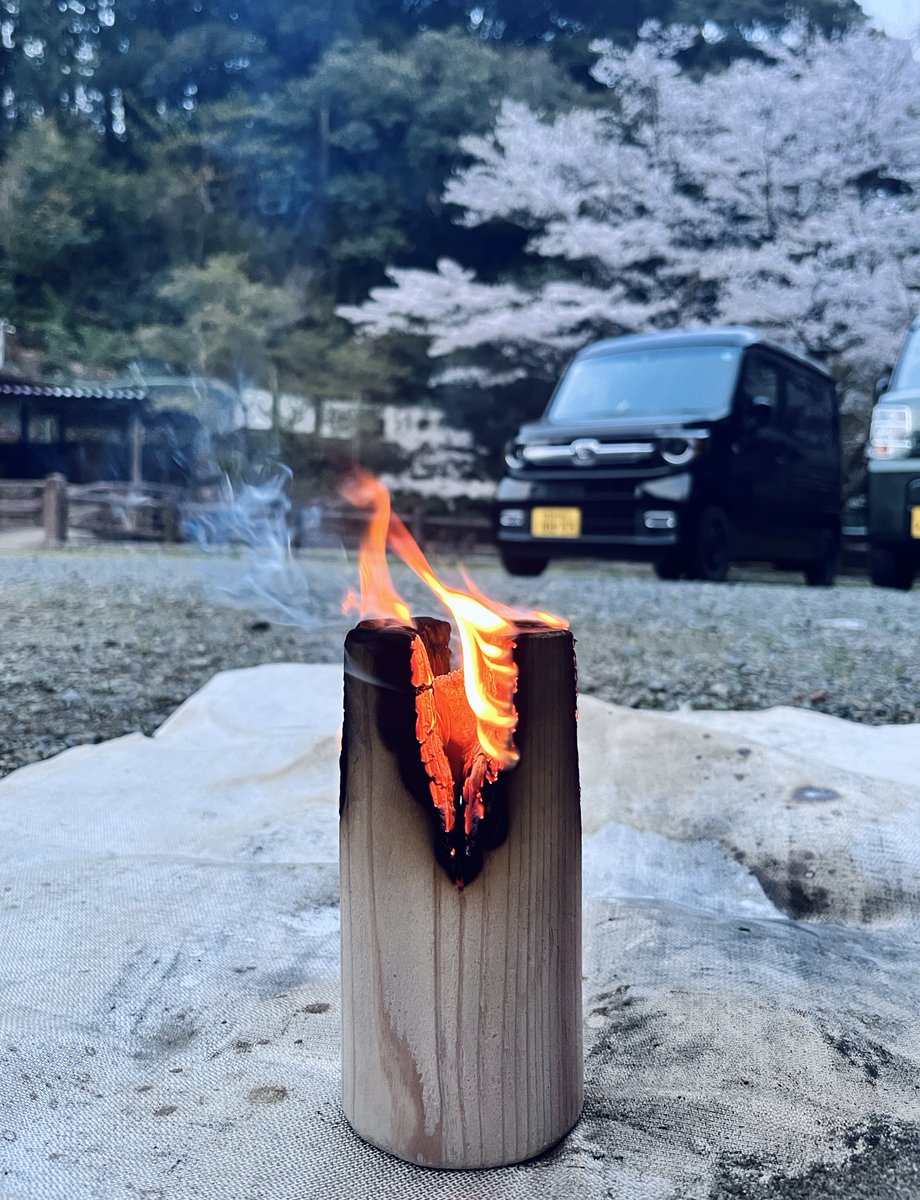 あむ@みんステフェス4/5高円寺 tweet media