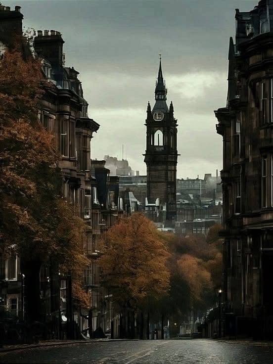 Nature & Human tweet media