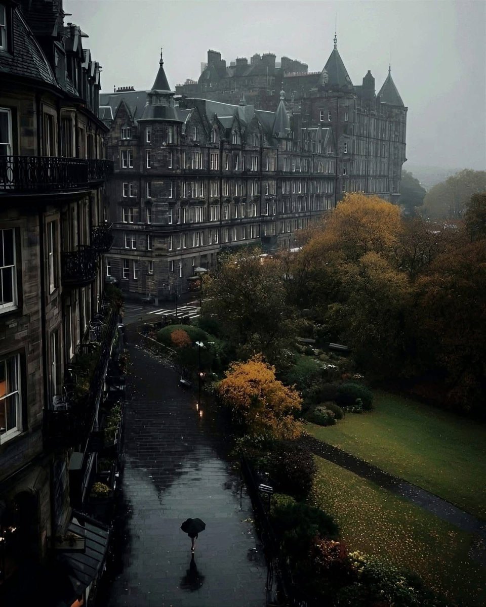 Nature & Human tweet media